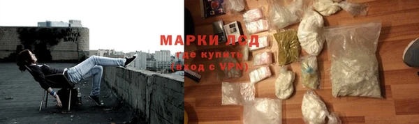 сатива Абинск