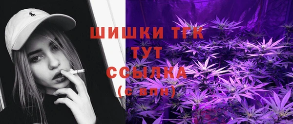 сатива Абинск