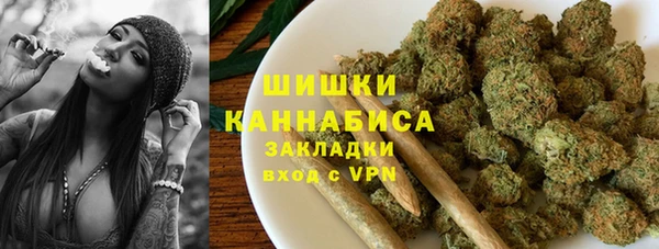 сатива Абинск