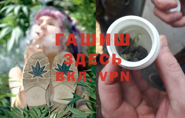 сатива Михайлов