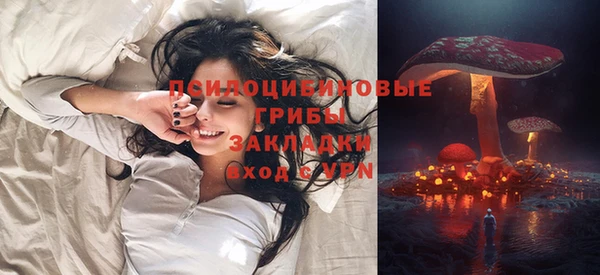 сатива Абинск